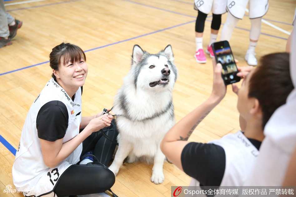 北京女篮队长与金毛犬温情对视，紧咬的嘴唇藏着赛场上的坚毅，怀中的温柔却在此刻肆意流淌。